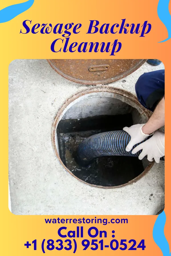 Sewage Backup Cleanup in Barnesville, OH