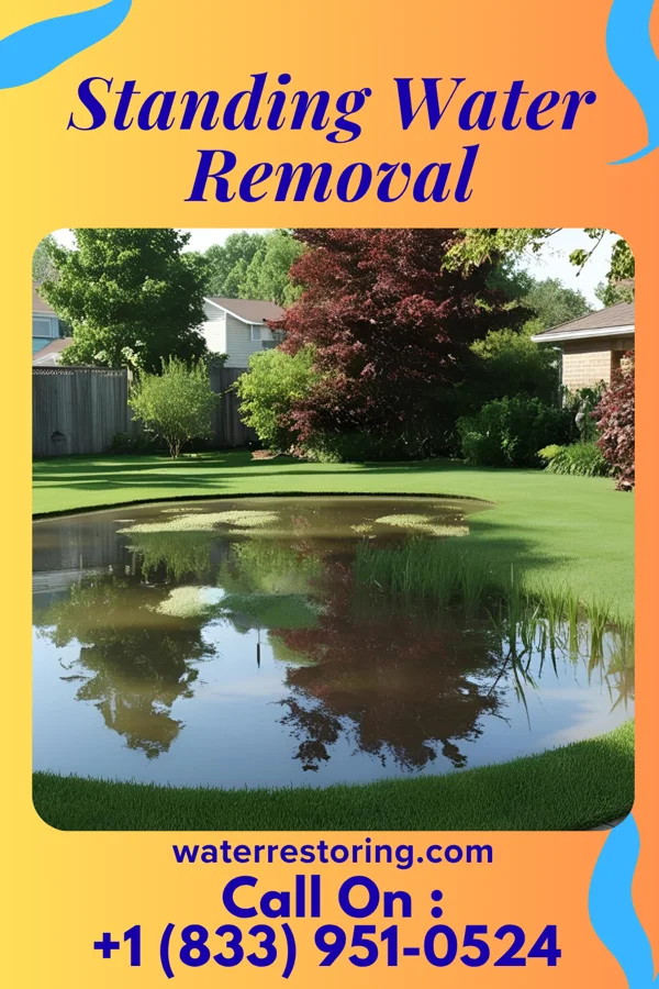 Standing Water Removal in Barnesville, OH